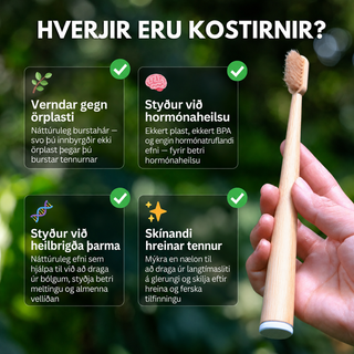 BAMBUSTANNBURSTI MEÐ VILLISVÍNSHÁRUM