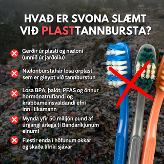 BAMBUSTANNBURSTI MEÐ VILLISVÍNSHÁRUM
