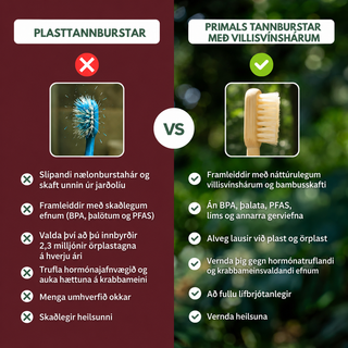 BAMBUSTANNBURSTI MEÐ VILLISVÍNSHÁRUM