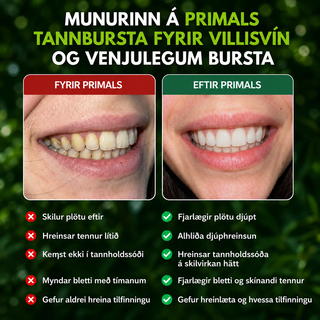 BAMBUSTANNBURSTI MEÐ VILLISVÍNSHÁRUM