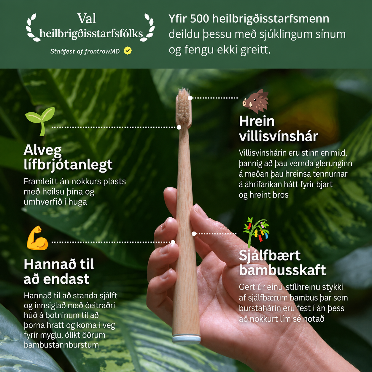 BAMBUSTANNBURSTI MEÐ VILLISVÍNSHÁRUM