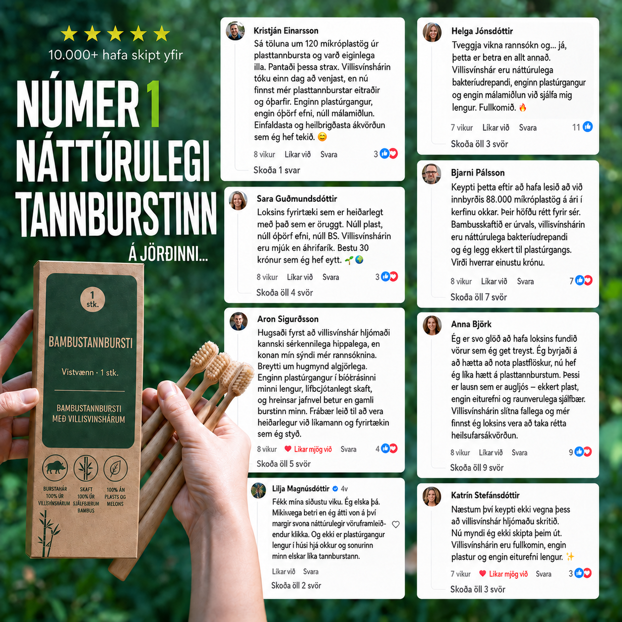 BAMBUSTANNBURSTI MEÐ VILLISVÍNSHÁRUM