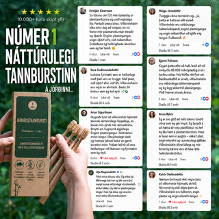 BAMBUSTANNBURSTI MEÐ VILLISVÍNSHÁRUM