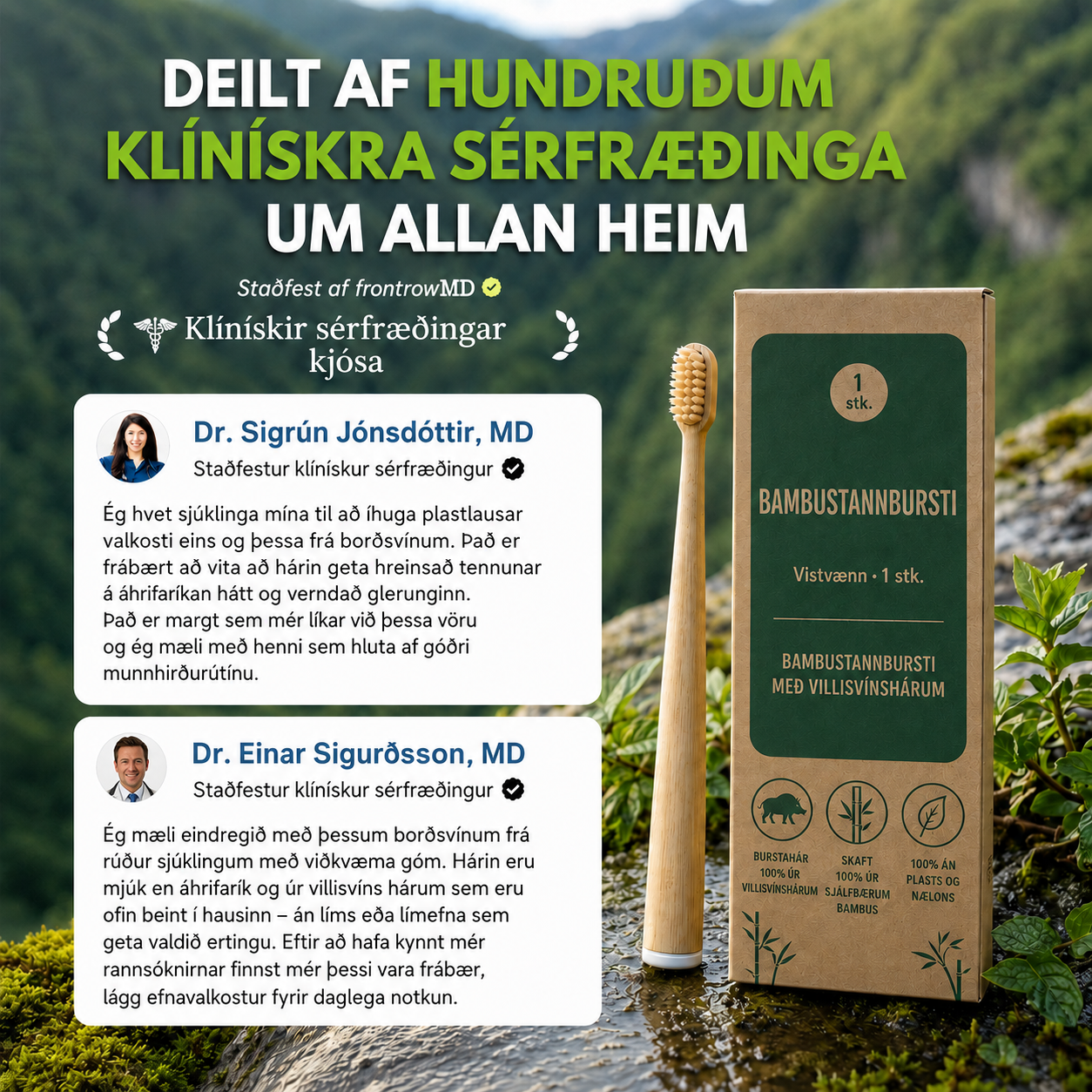 BAMBUSTANNBURSTI MEÐ VILLISVÍNSHÁRUM